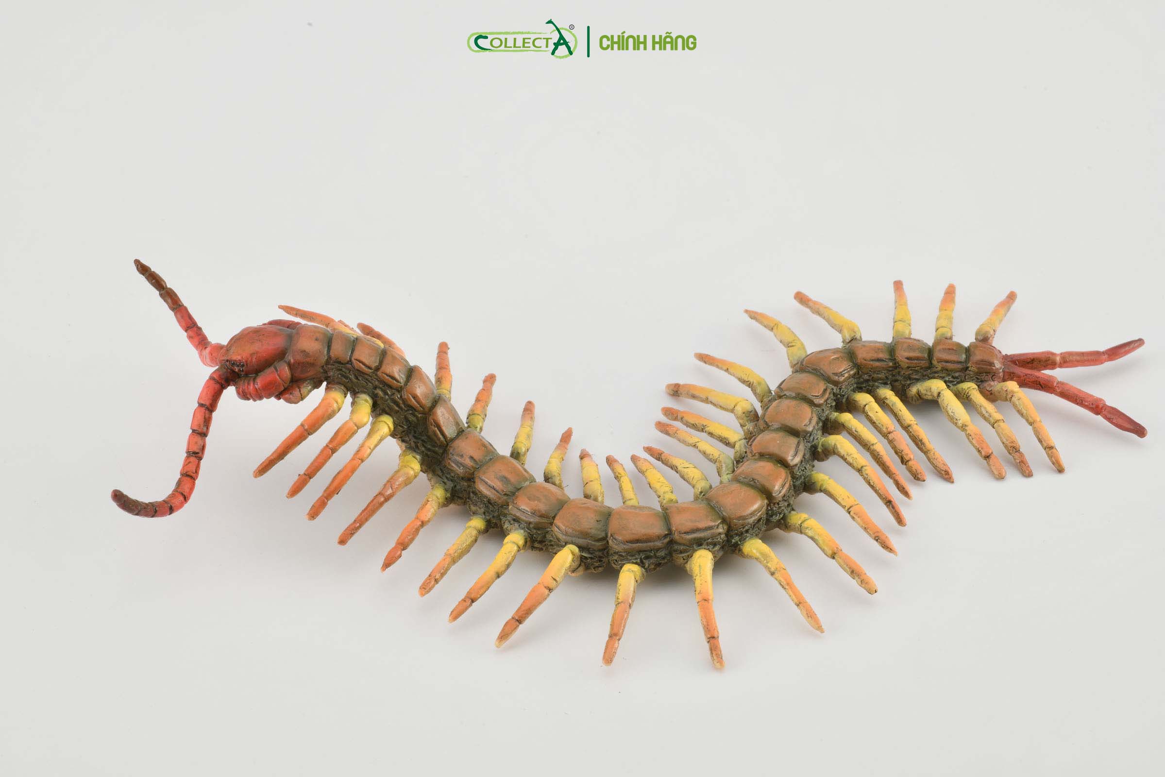 Mô hình thu nhỏ: Rết - Centipede, hiệu: CollectA, mã HS 9653040 [88885] -  Chất liệu an toàn cho trẻ - Hàng chính hãng