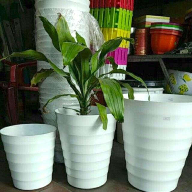 Combo 1-4 Chậu Nhựa Vòng Sóng - Chậu Nhựa Sóng cao - Chậu Vòng Tròn