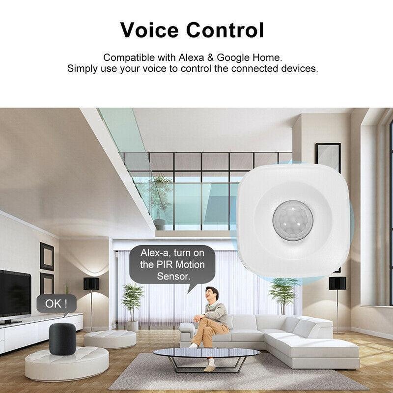 2X WIFI Motion PIR Sensor for TUYA Alexa Smart Life APP Home