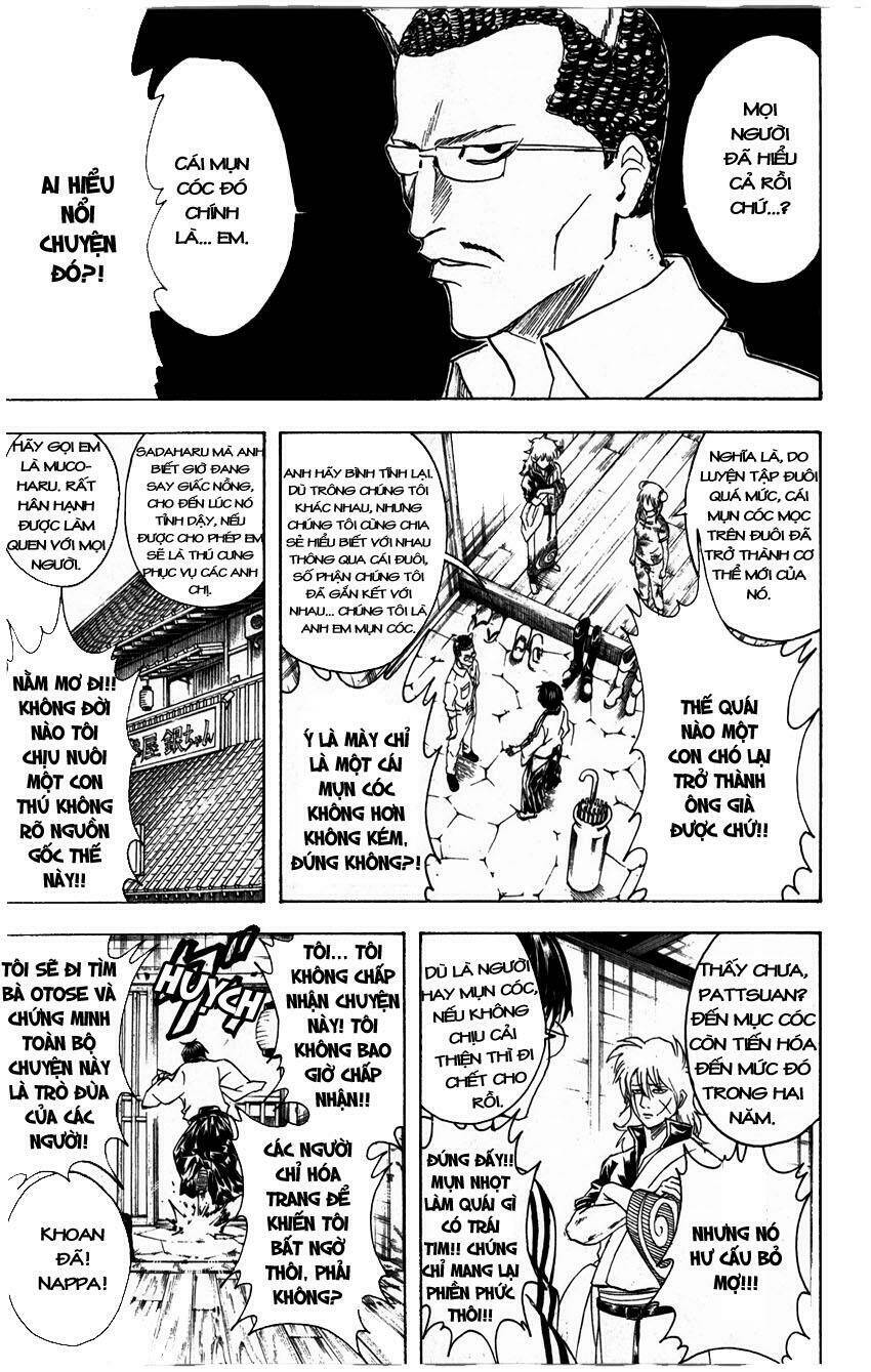 gintama - linh hồn bạc chapter 324 13