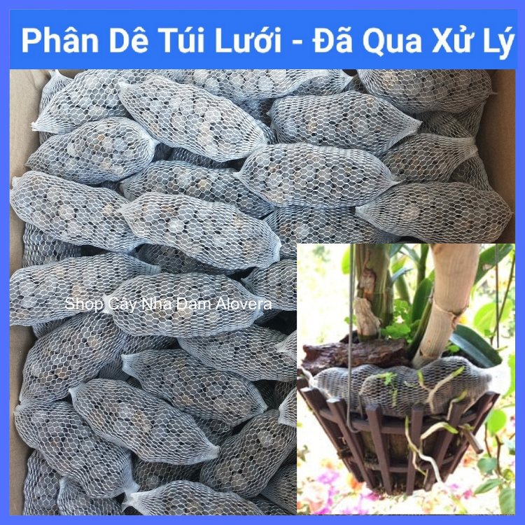 Phân Dê Túi Lưới Bón Lan, Cây Kiểng Đã Qua Xử Lý (Dài 10-11cm)