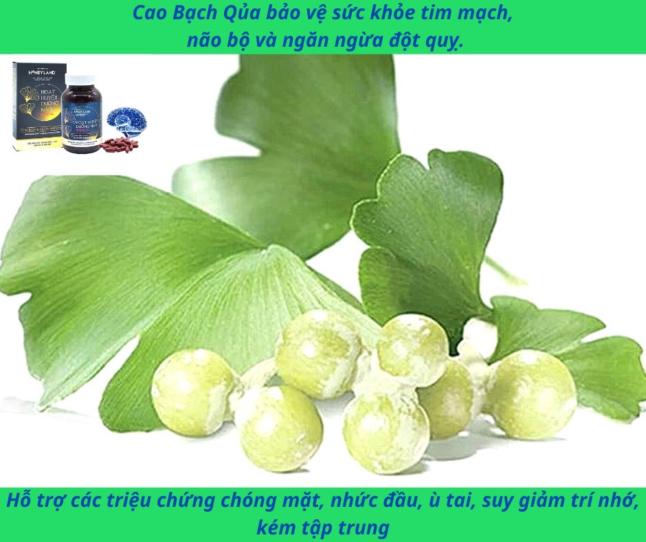 Hoạt Huyết Dưỡng Não Q10 plus Honeyland 90 viên