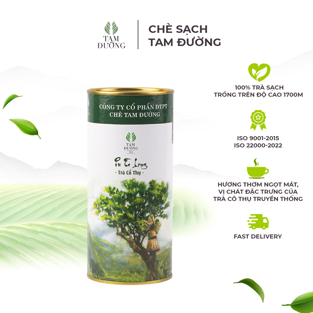 Trà Cổ Thụ Pu Ta Leng Chính Hiệu Tam Đường Hương Thơm Mát, Vị Chát Đặc Đặc Trưng Của Trà Truyền Thống