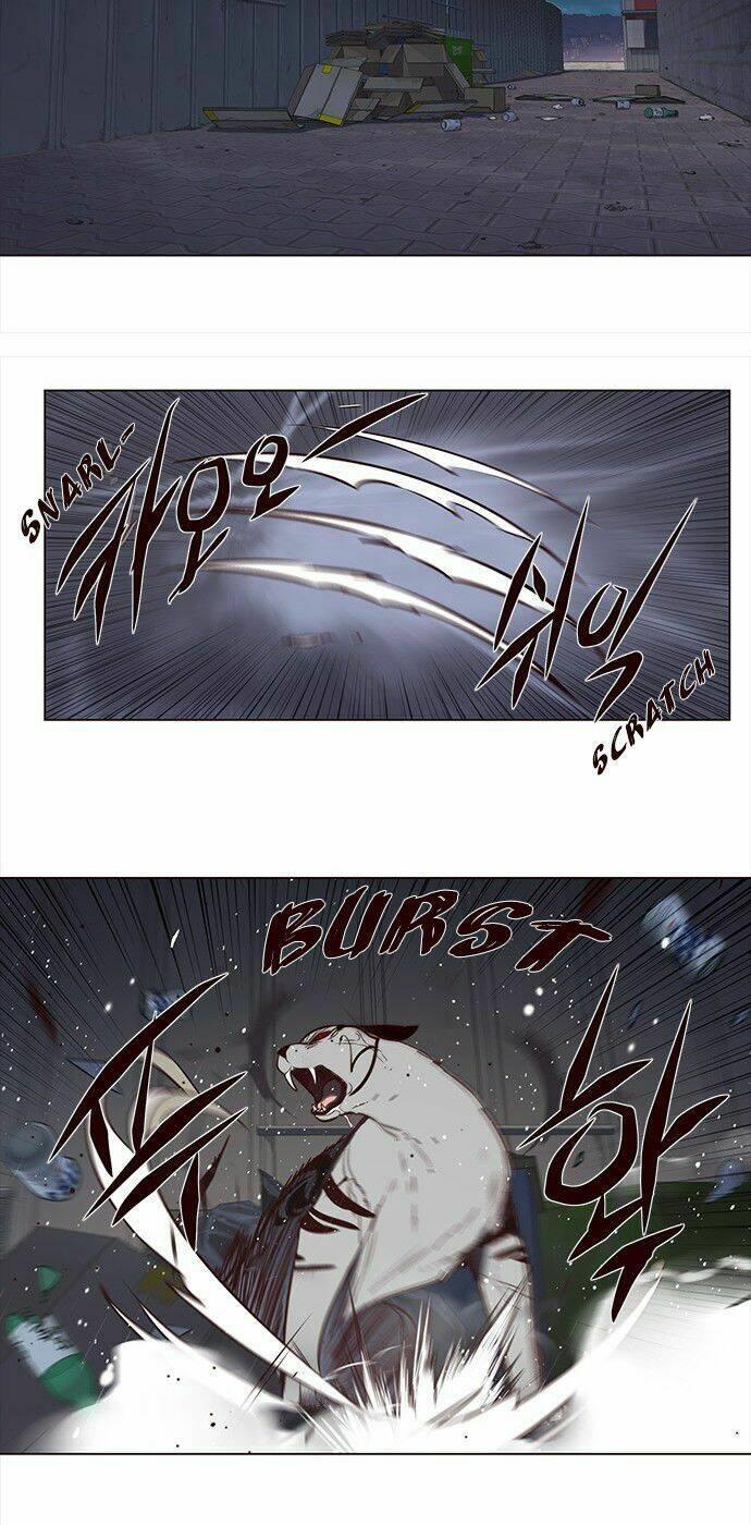 biến thân thành mèo chapter 3 16