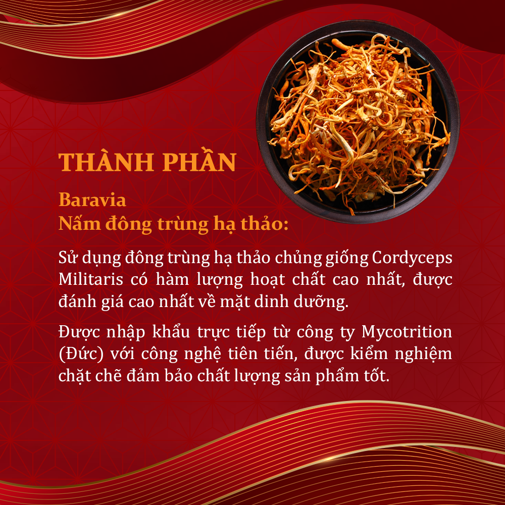Baravia Nấm Đông Trùng Hạ Thảo Dân Khang Hỗ Trợ Tăng Cường Sức Khỏe Giảm Mệt Mỏi