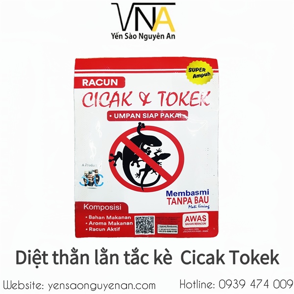 Diệt thằn lằn Cicak Tokek