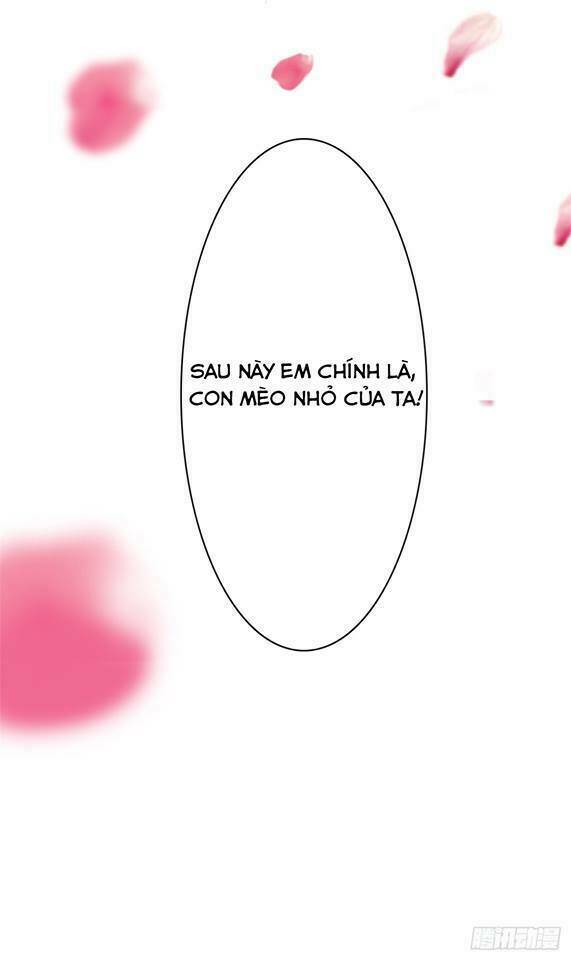 thất ức kiều thê sủng ái ký chapter 0 18