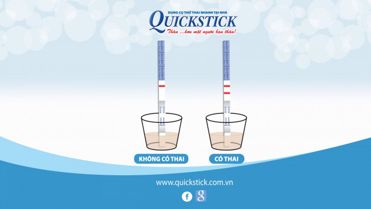 Combo 2 Que Thử Thai QuickStick 2