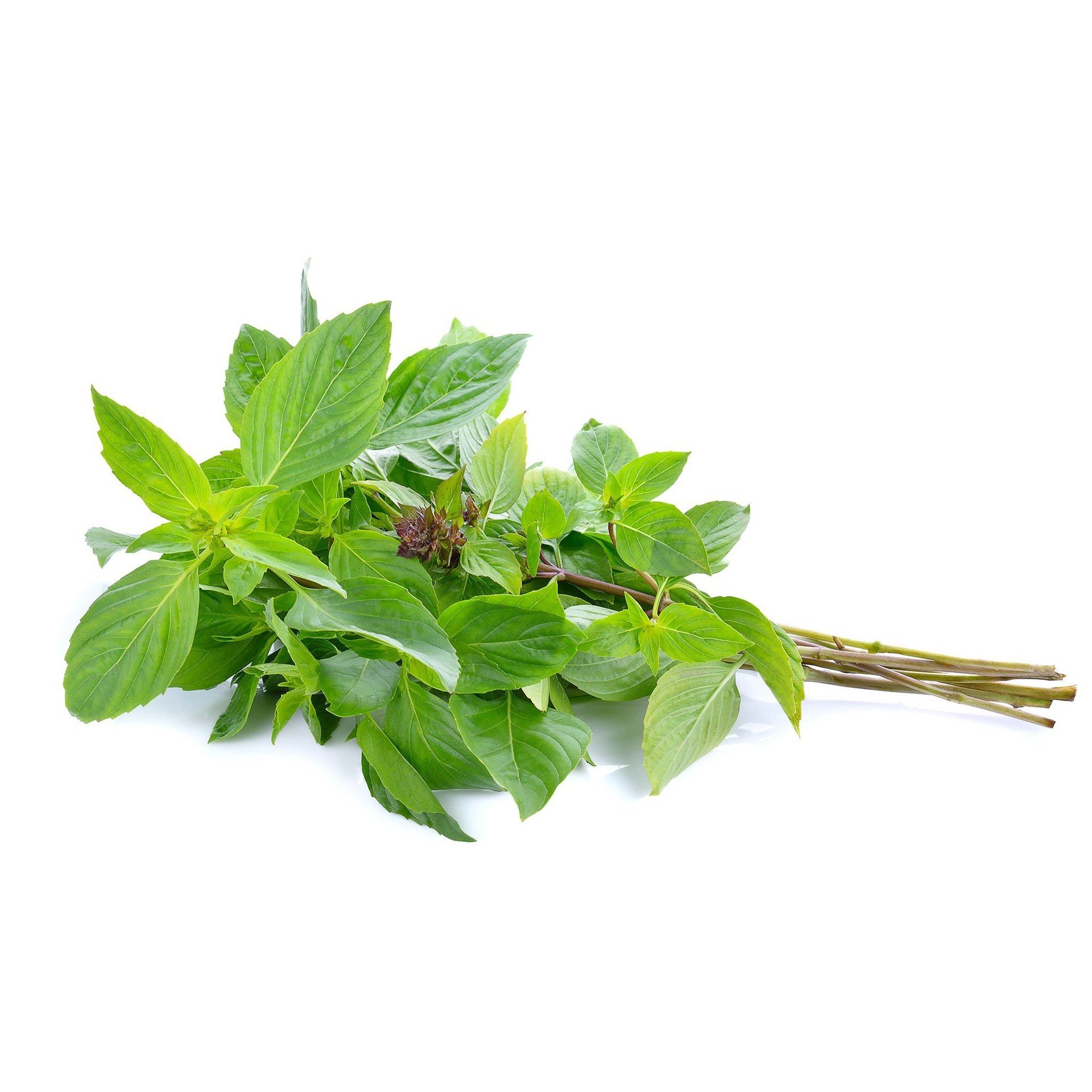 [CHỈ GIAO HCM] Húng quế - 100gr