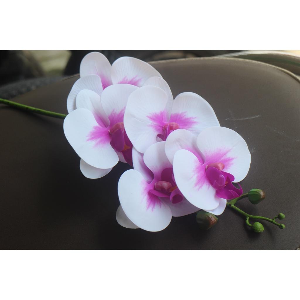 Cành lan 5 bông thân đốm chất liệu cao su cao cấp- giả mà như thật- Không kèm chậu