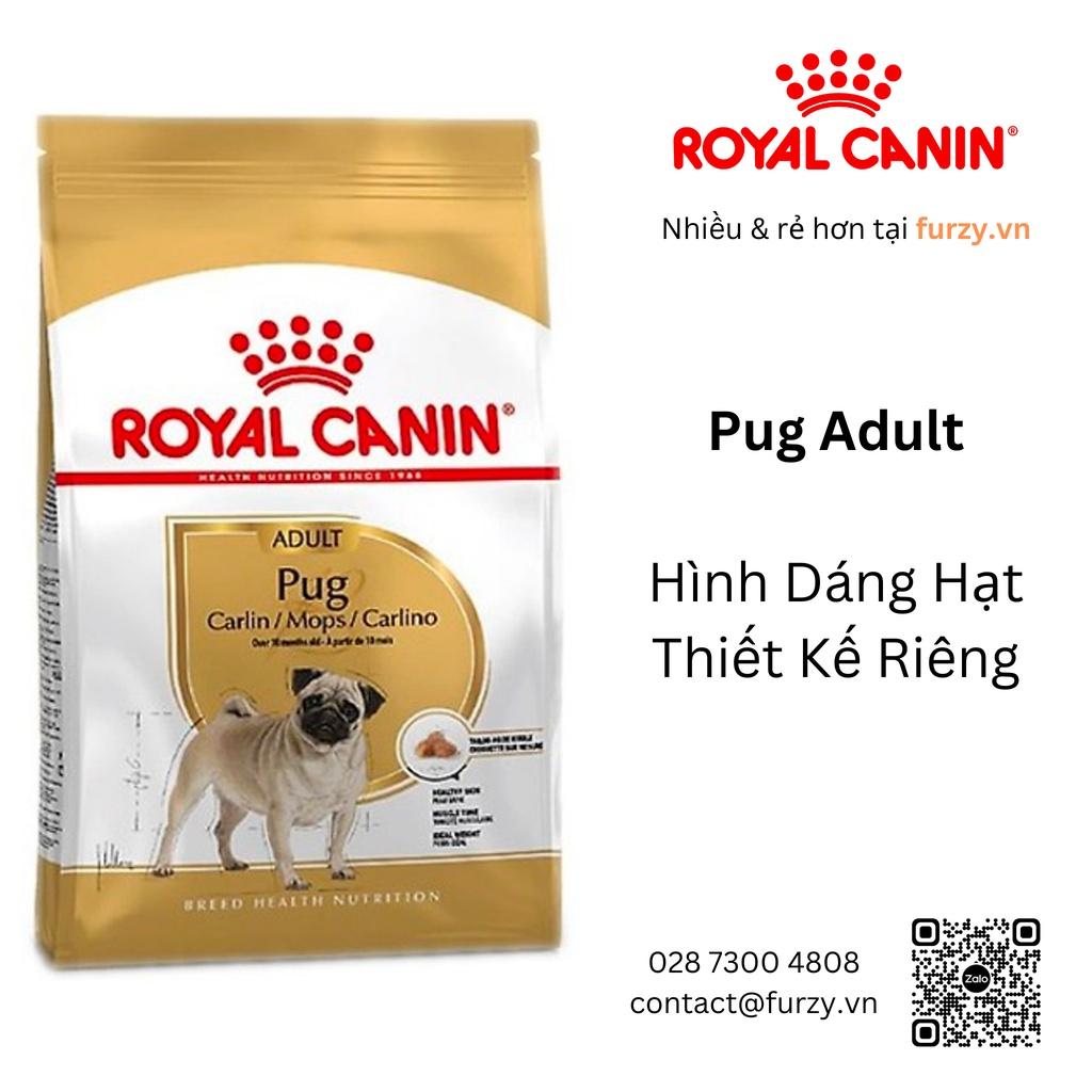 Royal Canin Thức Ăn Hạt Cho Chó Pug Trưởng Thành Adult