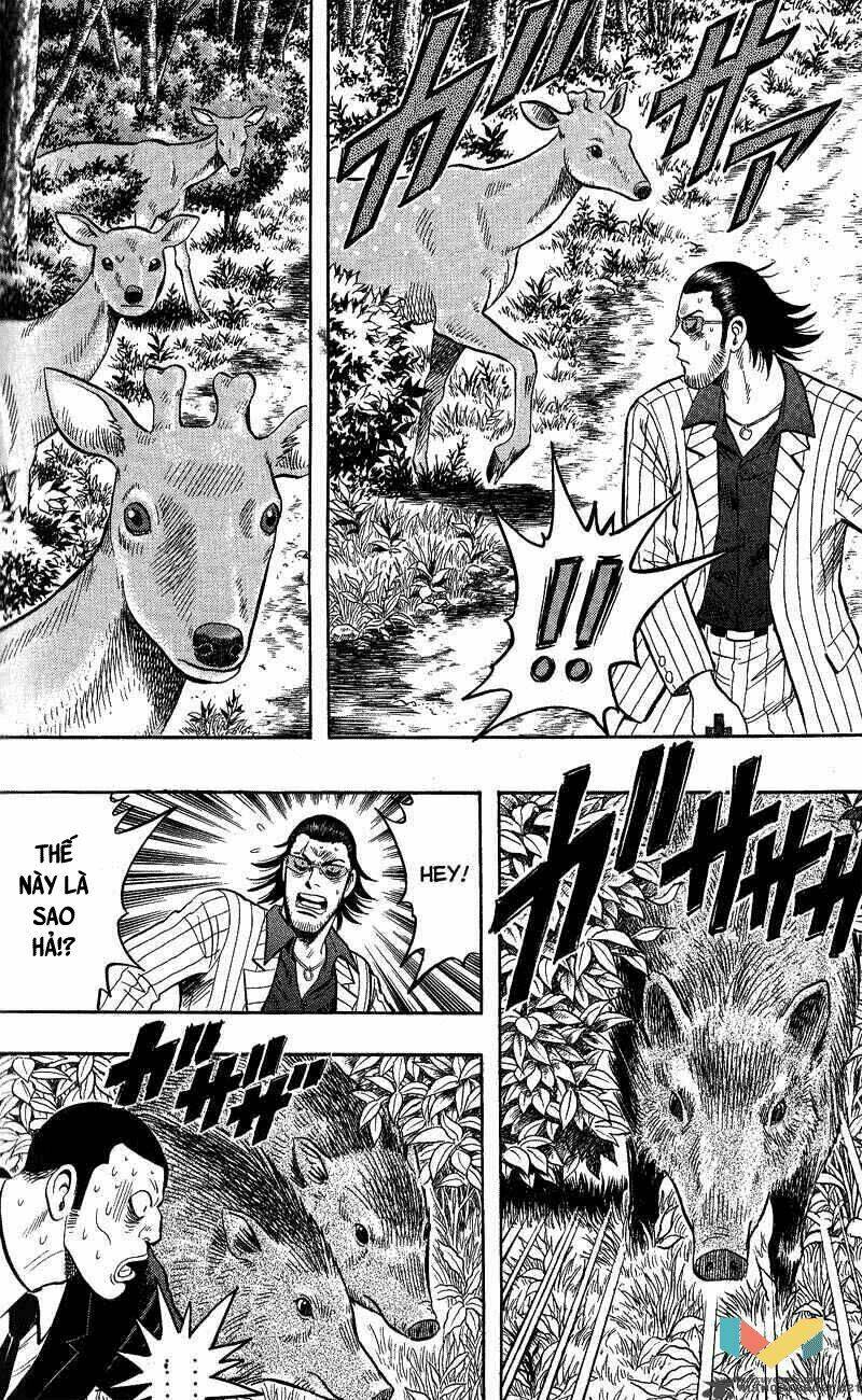 animal sense chapter 13 28