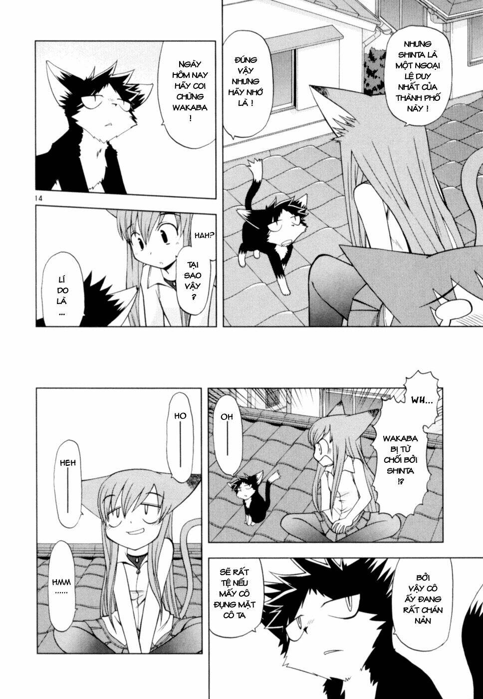 koi neko chapter 35 15