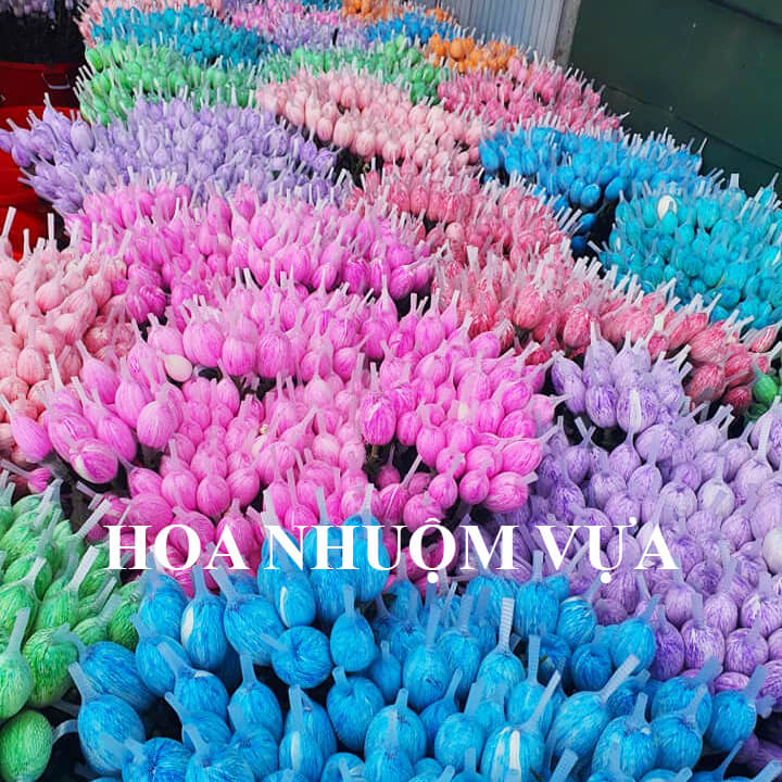 10 chai Nhuộm Hoa tươi dạng nước Công Nghệ Israel giúp hoa nhuộm đổi màu theo ý muốn nhuộm trên 250 cành hoa x 1 chai