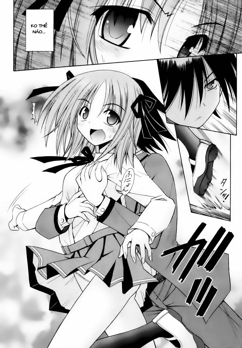 omamori himari chapter 50 13