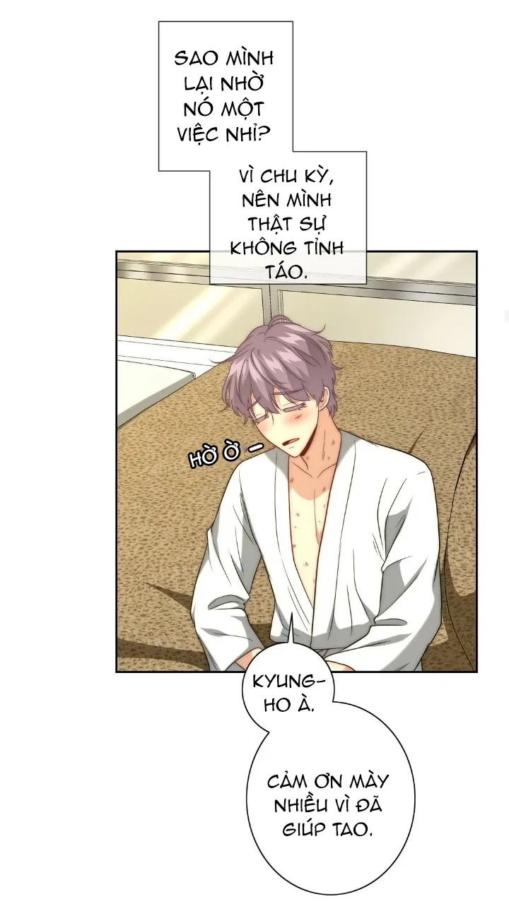 bí mật của omega k chapter 8 31