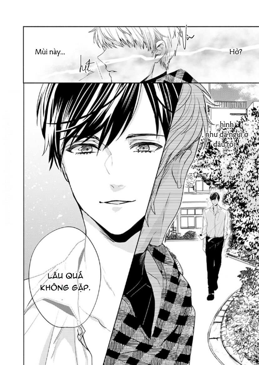 vết cắn tình đầu chapter 3 24