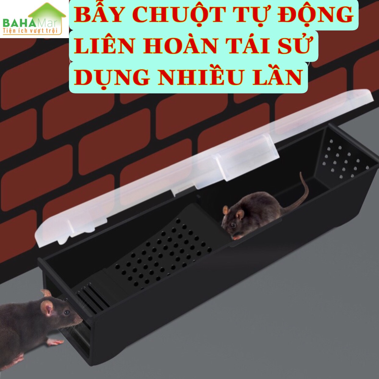 BẪY CHUỘT TỰ ĐỘNG LIÊN HOÀN TÁI SỬ DỤNG NHIỀU LẦN "BAHAMAR" Thiết kế áp dụng nguyên tắc của bionics. lỗ cửa sắt bền và Có một cửa để chuột có thể ra vào, không sử dụng keo dán, chất hoá học hoặc điện, an toàn để sử dụng