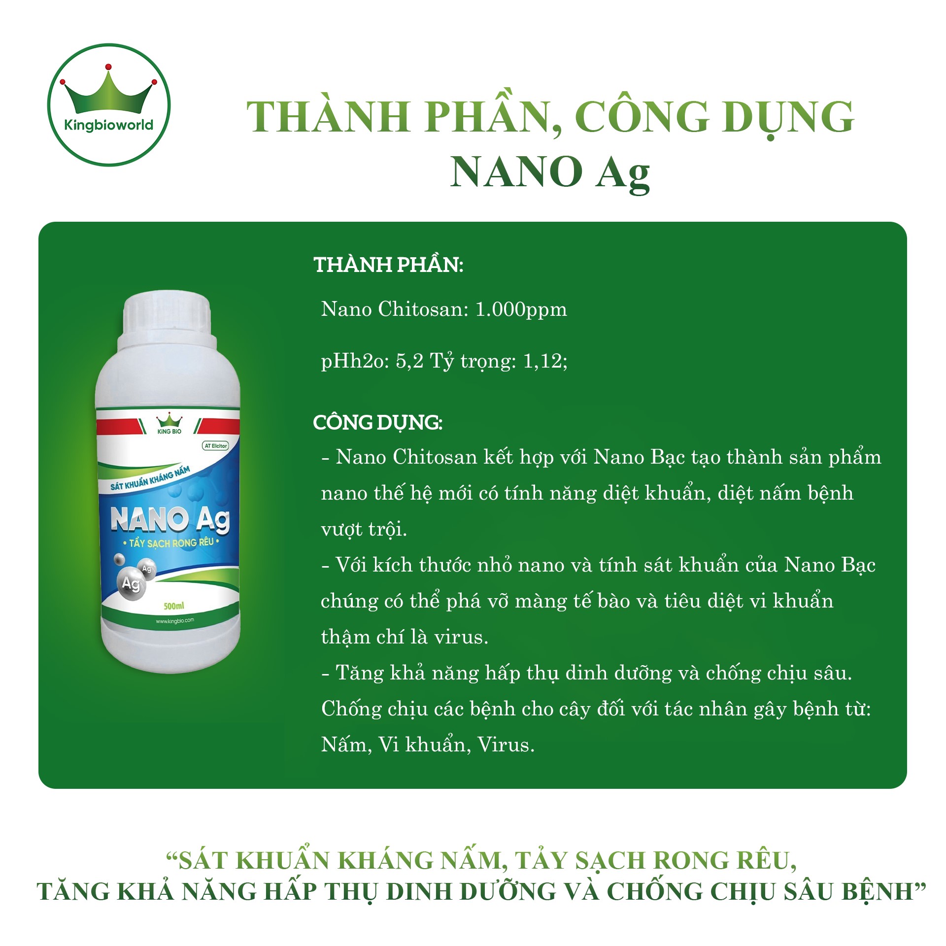 King Nano Ag - Nano sát khuẩn kháng nấm, Tảy sạch rong rêu, tăng khả năng hấp thụ dinh dưỡng và chống chịu sâu bệnh