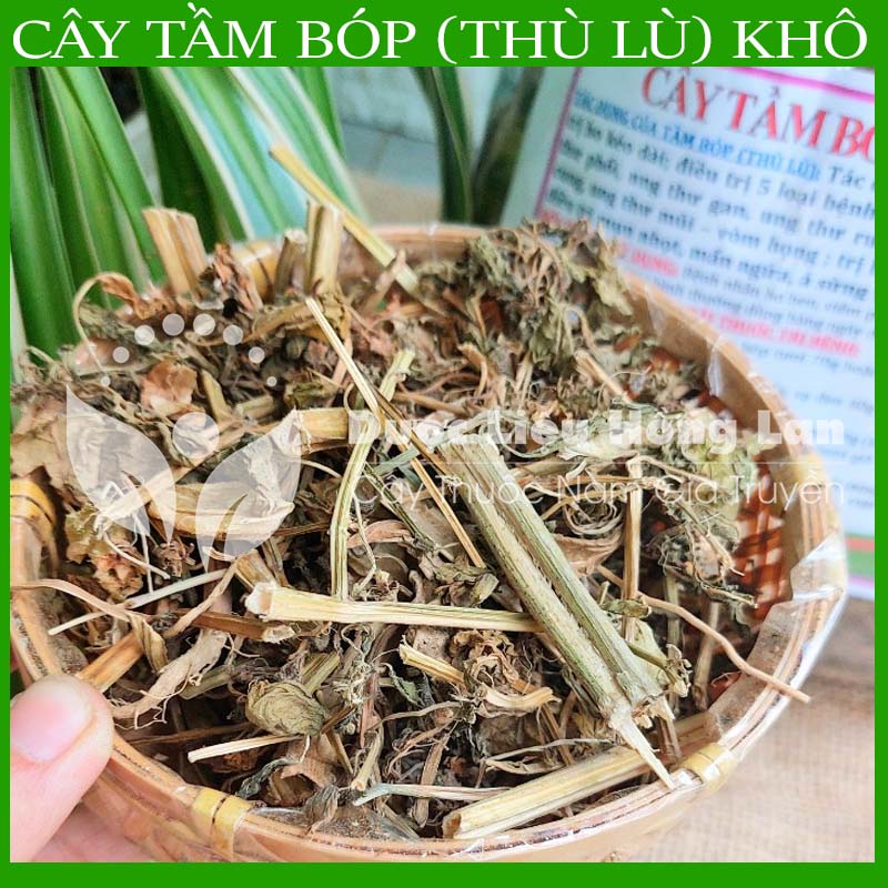 500gram Cây Tầm Bóp (Thù Lù) khô sạch