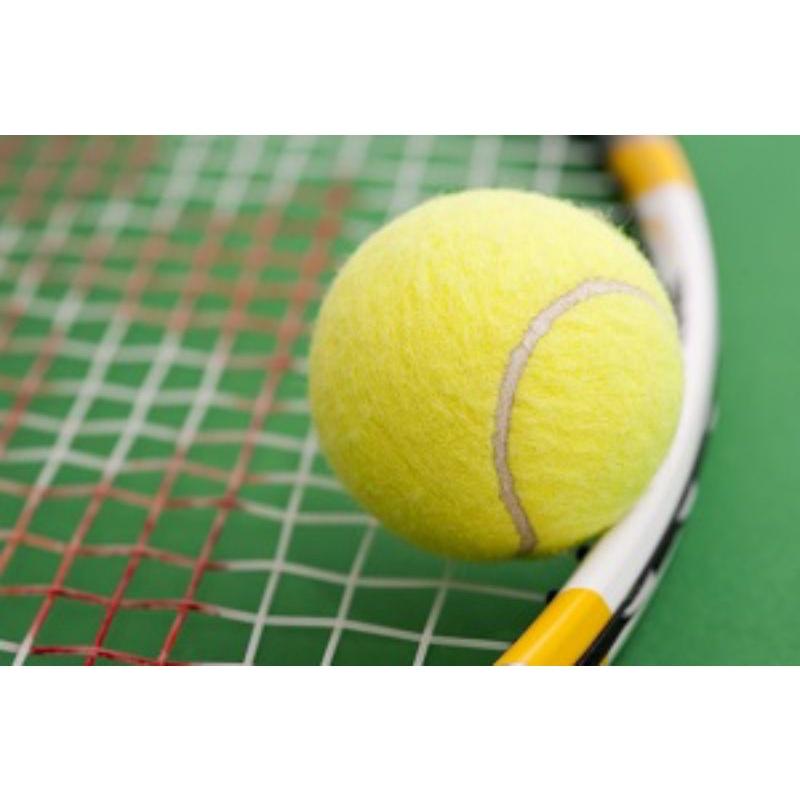 Bóng tennis 95% làm đồ chơi luyện tập trang trí ứng dụng