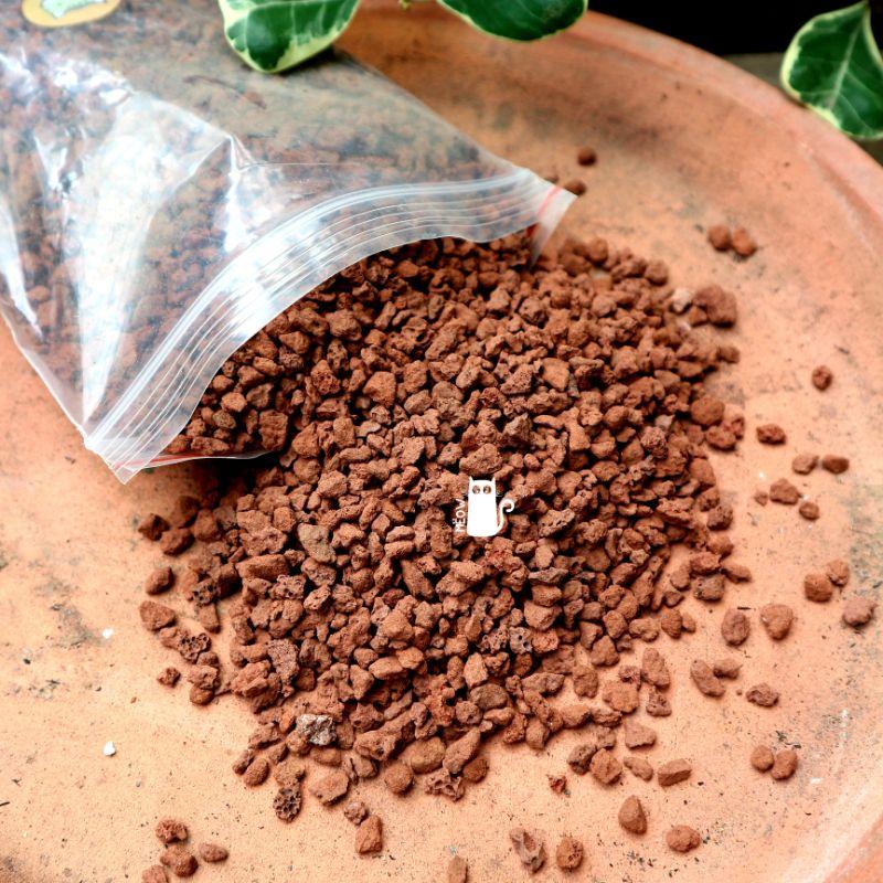 Đá nham thạch đỏ - MEOW RED LAVA ROCK | Giá thể trồng sen đá, xương rồng, lọc nước bể cá