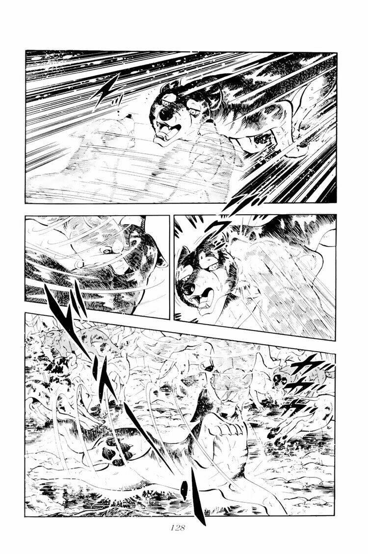 chú chó có nghĩa - ginga nagareboshi gin chapter 33 22