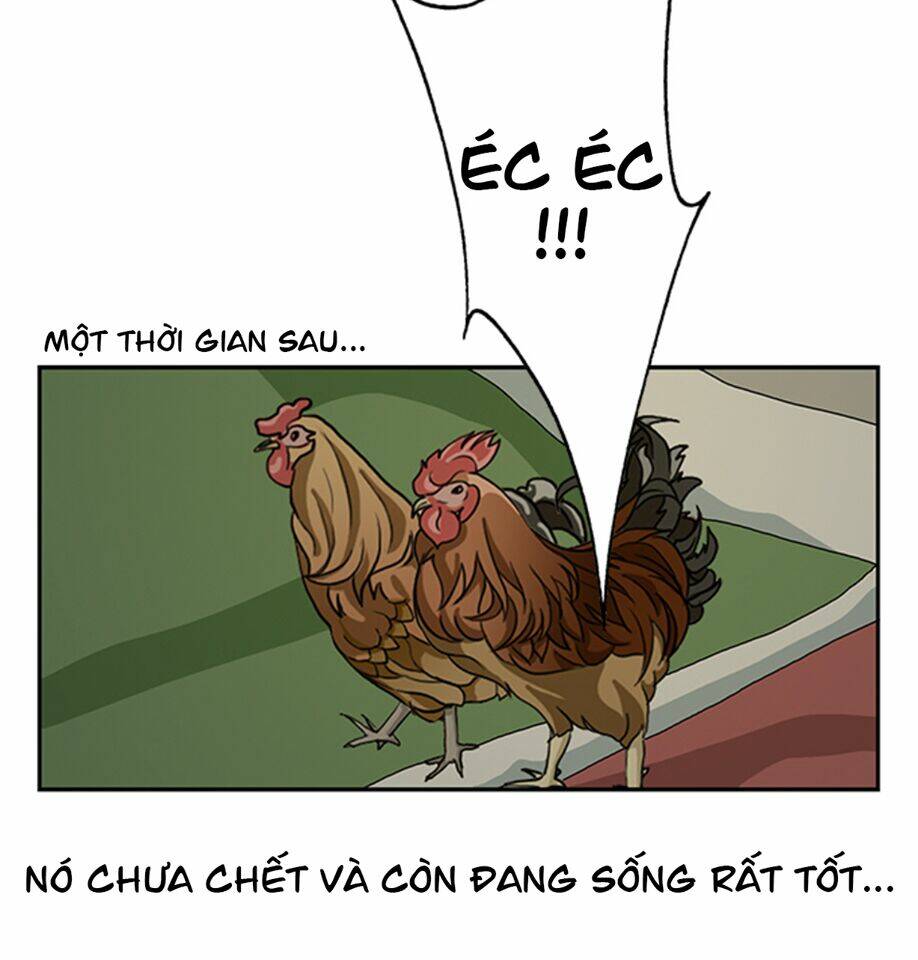 cậu bé lập dị chapter 15 31