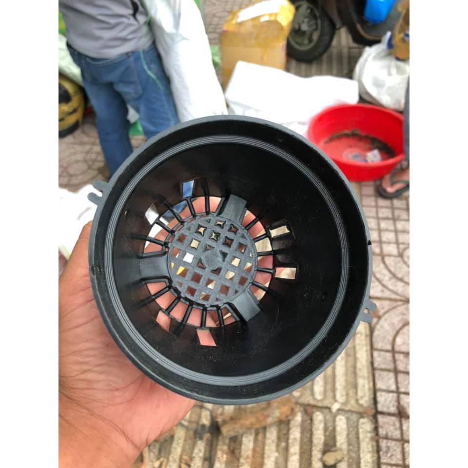 Combo 100 chậu nhựa 12cm trồng lan
