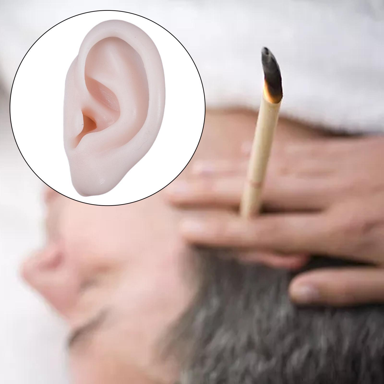 Ear Model, Soft Silicone, Props Teaching Tools Acupuncture Practice Model for Educational