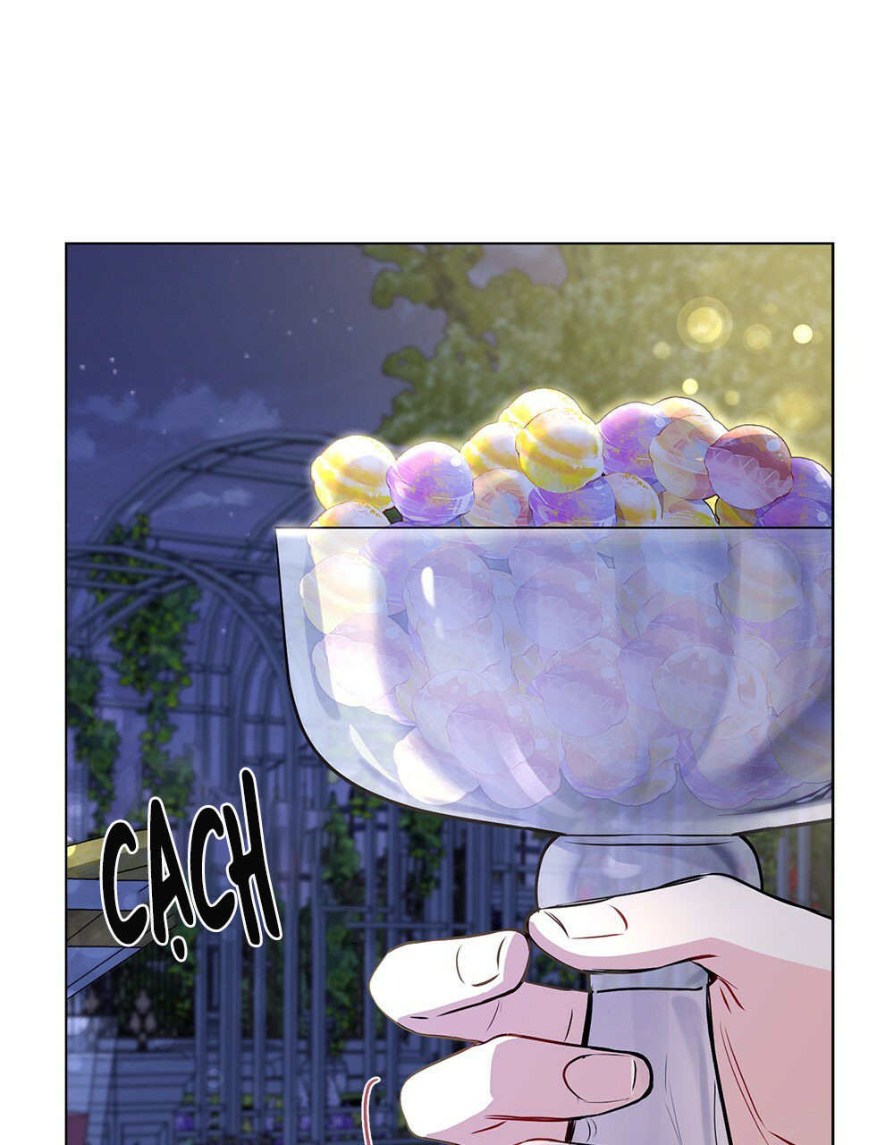 đi tìm nàng camellia chapter 25.1 40