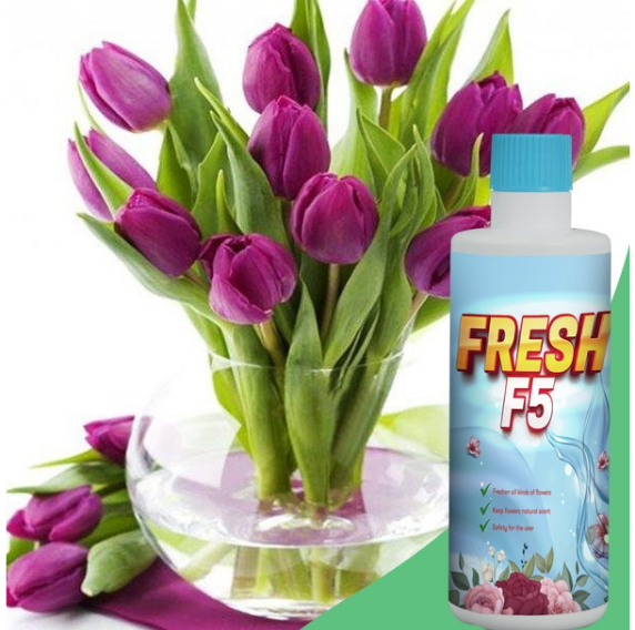 Nước Dưỡng Hoa, Nước Cắm Hoa Fresh F5 - Dưỡng Hoa Tươi Lâu Gấp 3 Lần, Giúp Hoa Nở Bung Luôn Tươi Mới