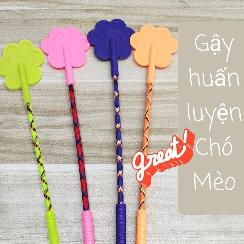 Gậy huấn luyện Chó mèo có đệm Caosu