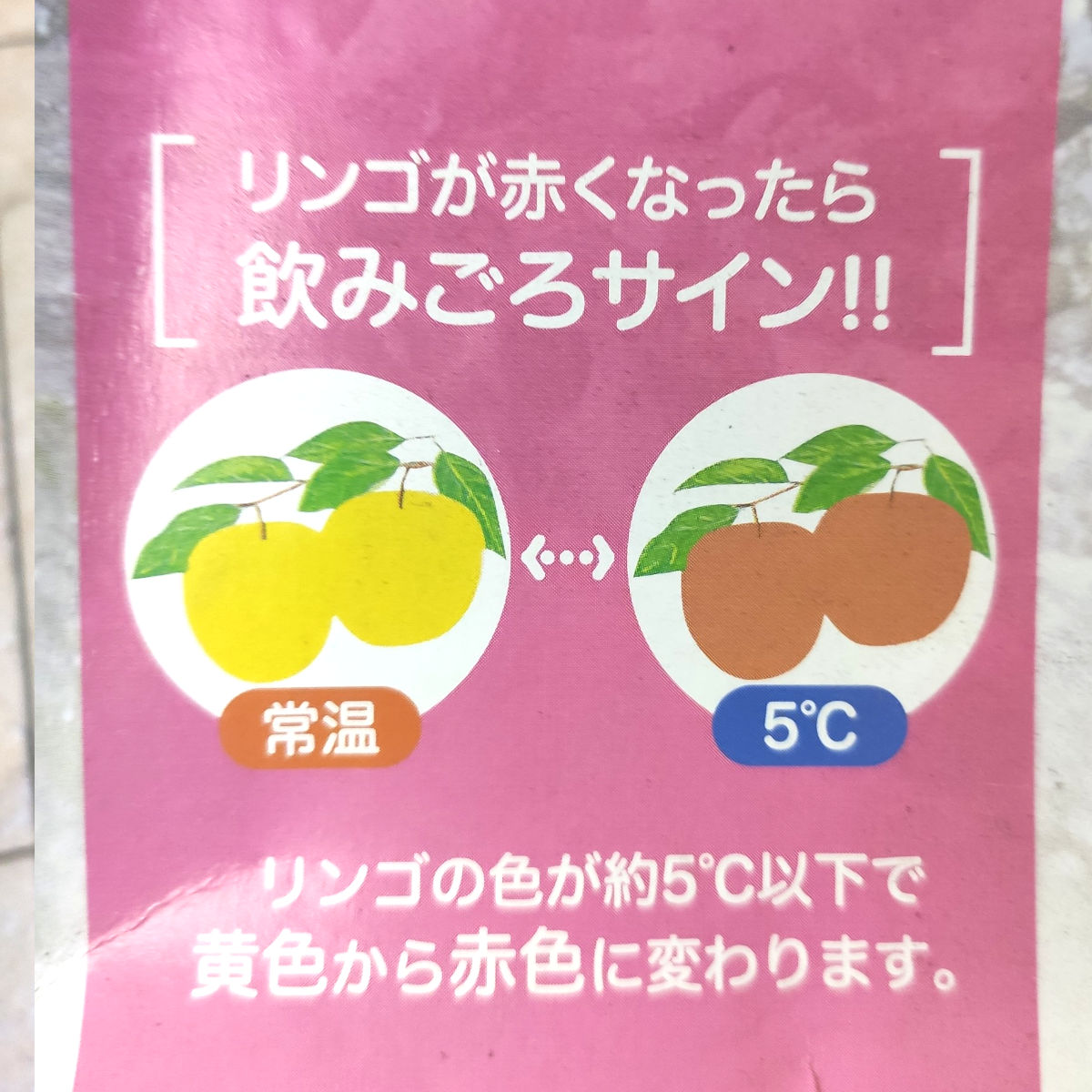 Bình đựng nước pha trà kèm lưới lọc 1,2L xuất xứ Nhật Bản