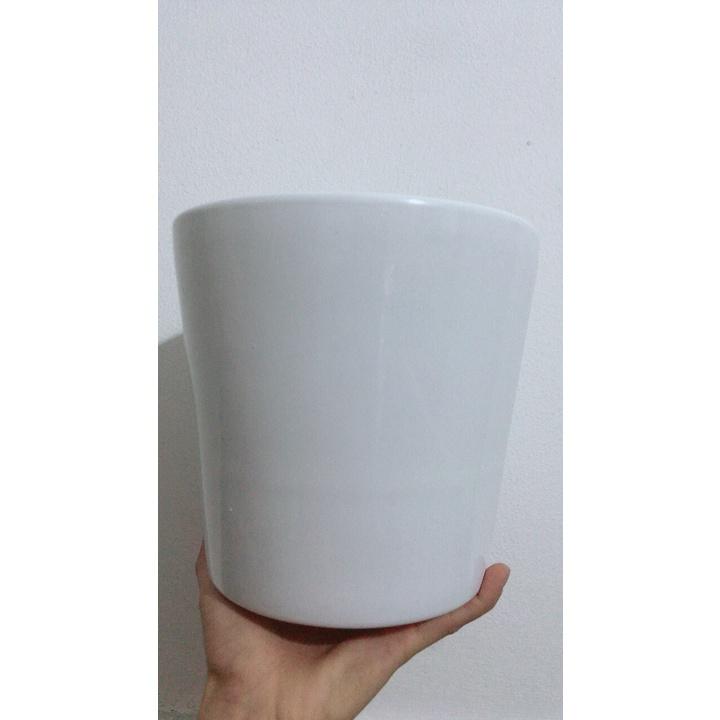 Chậu Sứ Trồng Cây