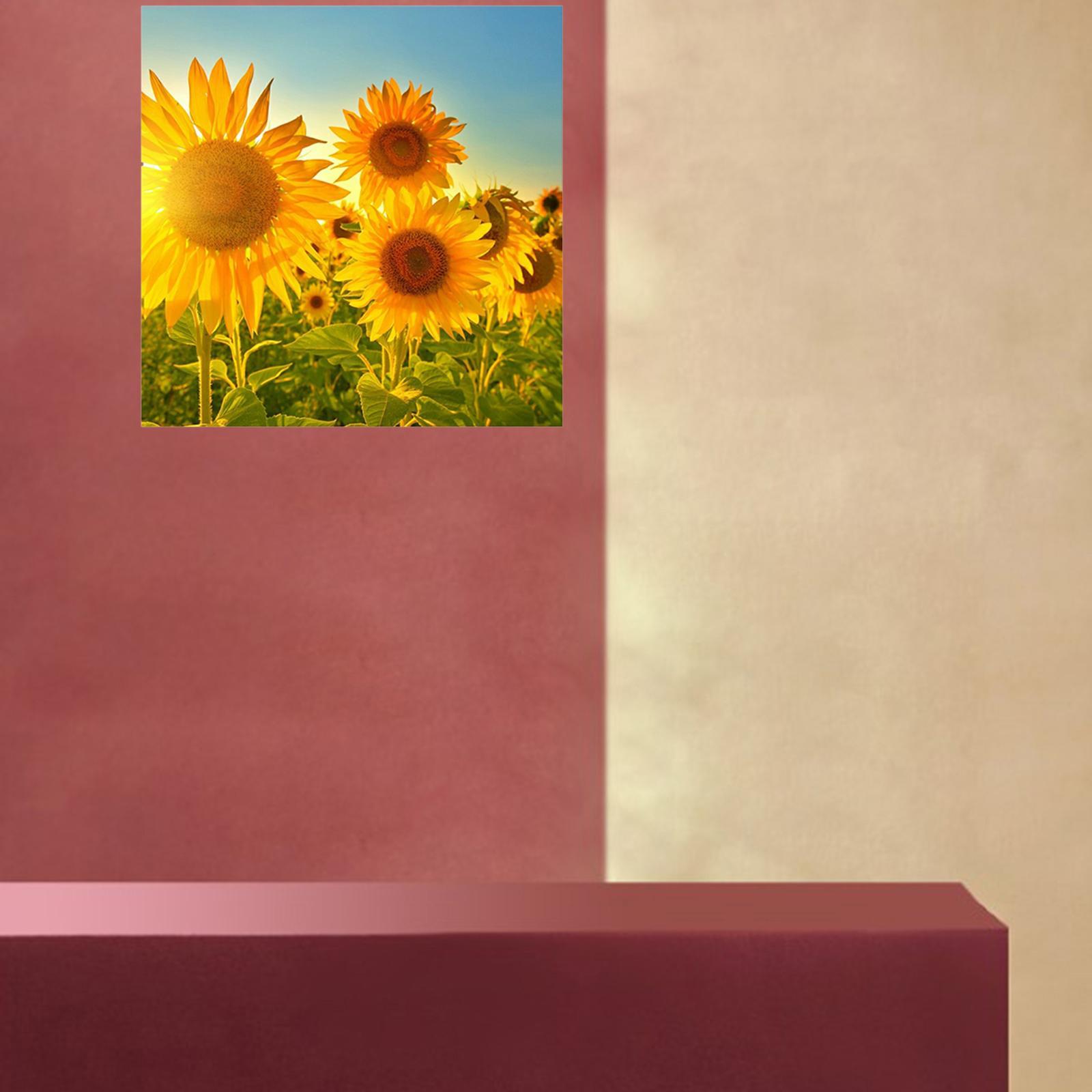 Colaxi DIY  by Number Kit Full Drill Round Rhinestone