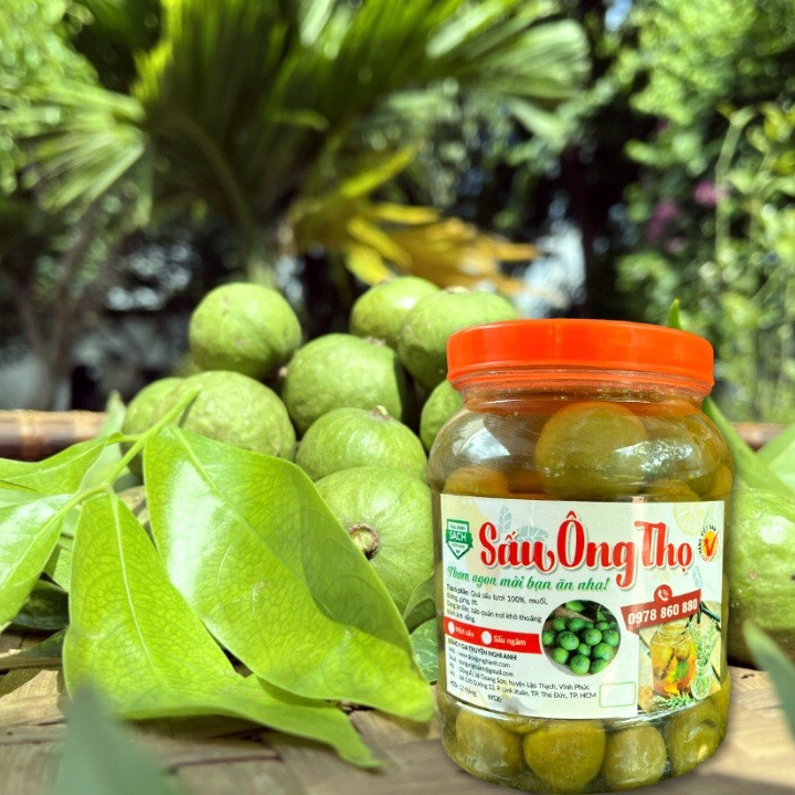 Sấu Ngâm Đường Hộp 1kg - Thơm Ngon Vị Chua Ngọt