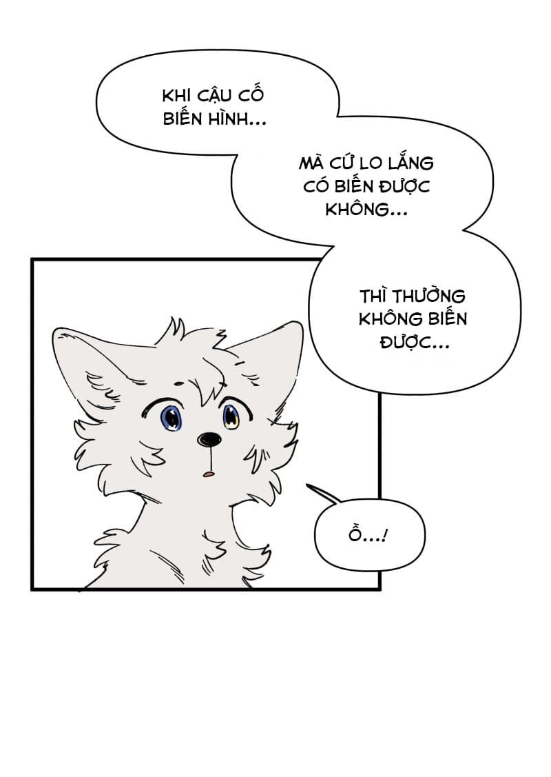 lumine - cội nguồn ánh sáng chapter 131 15