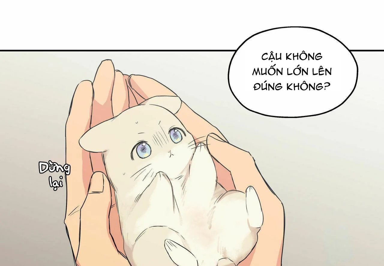 không chốn yêu đương chapter 65 32