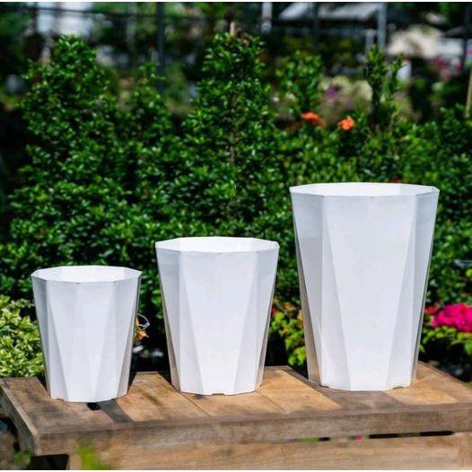 Chậu nhựa kim cương trắng câo cấp 8 cạnh, xịn dày size to