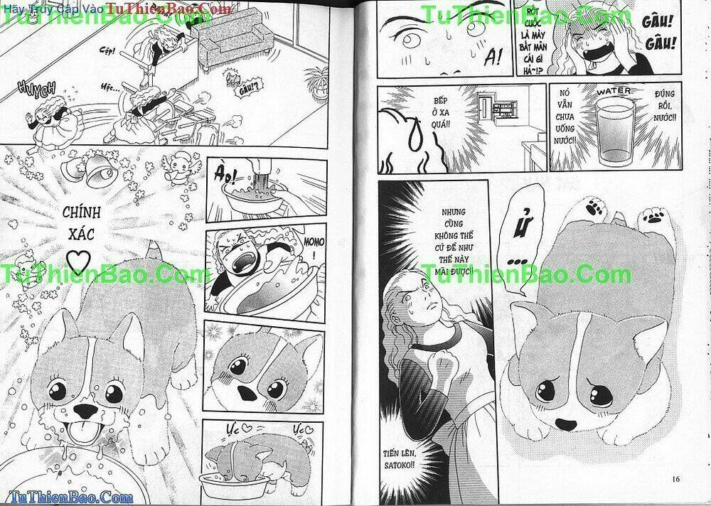 chó con mo mo chapter 1 9