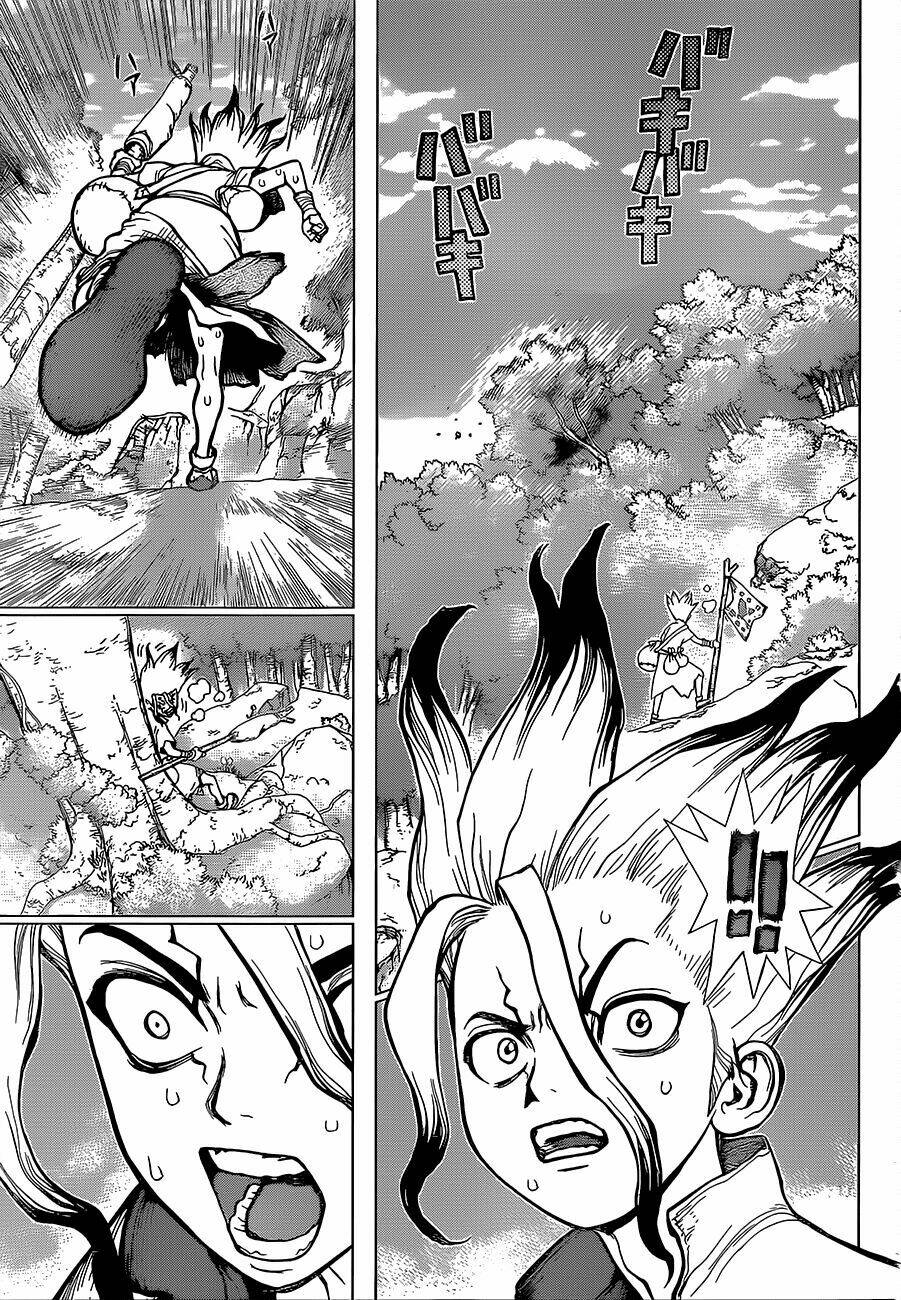 dr.stone - hồi sinh thế giới chapter 16 12