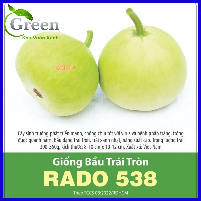 Hạt Giống Bầu Tròn