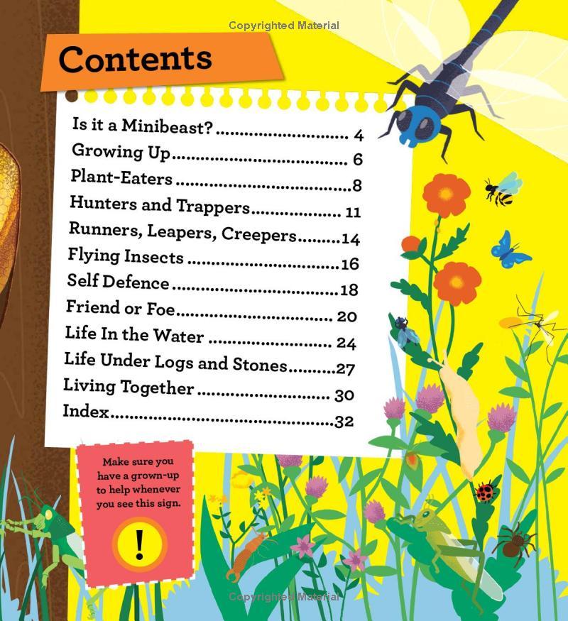 Sách ngoại văn: Discover It Yourself - Minibeasts