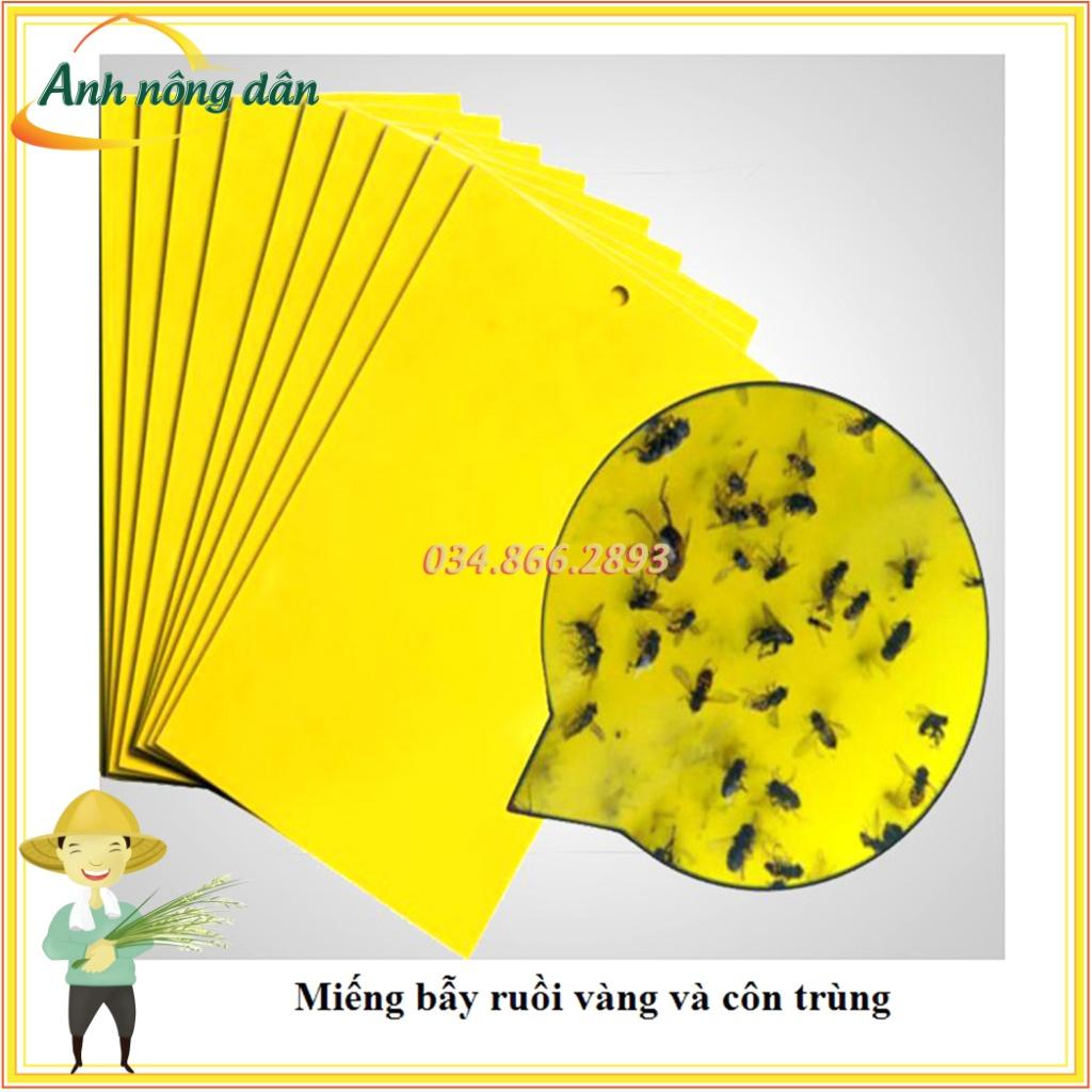 Bộ 10 miếng nhựa bẫy dính ruồi vàng và côn trùng, hiệu quả nhanh, bảo vệ hoa và trái cây, an toàn vệ sinh