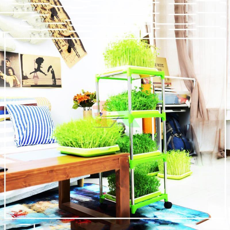 Bộ kit trồng rau mầm thủy canh 4 tầng 4 khay TKM-4.4