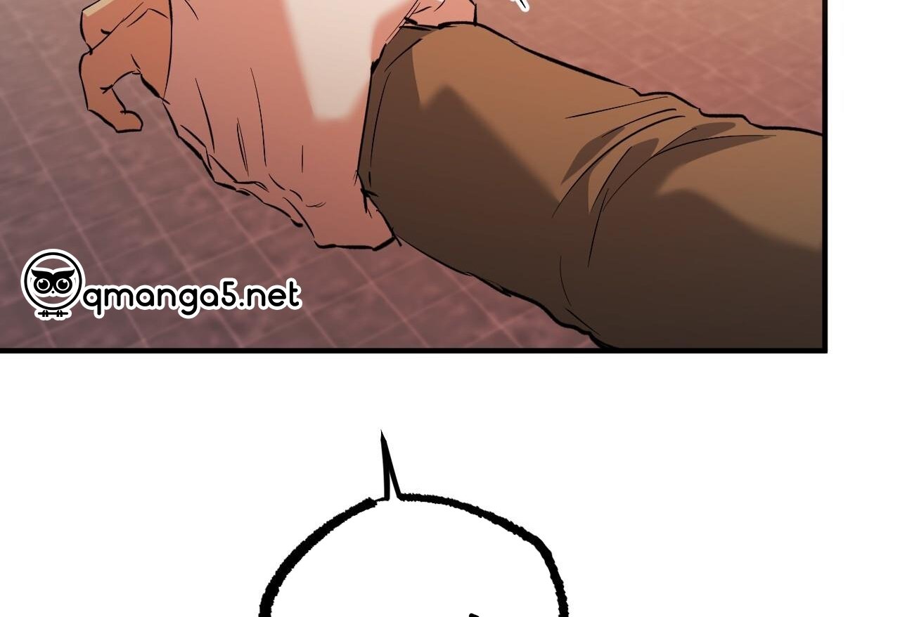 những chú thỏ của hapypy chapter 62 252