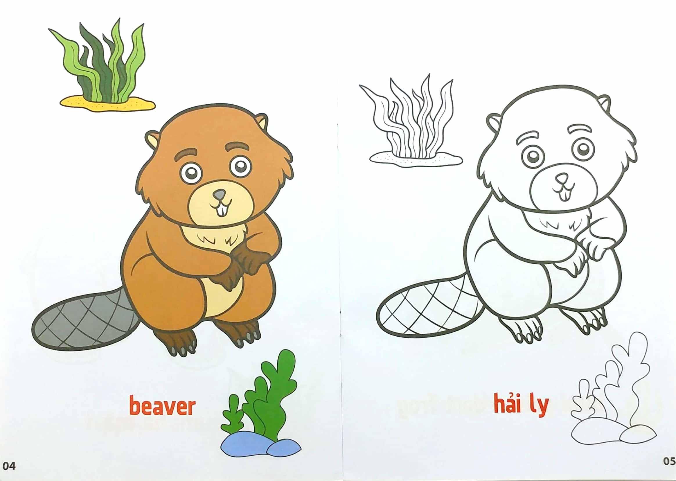 Tô Màu Động Vật Sống Dưới Nước - Song Ngữ Anh-Việt - Tập 3