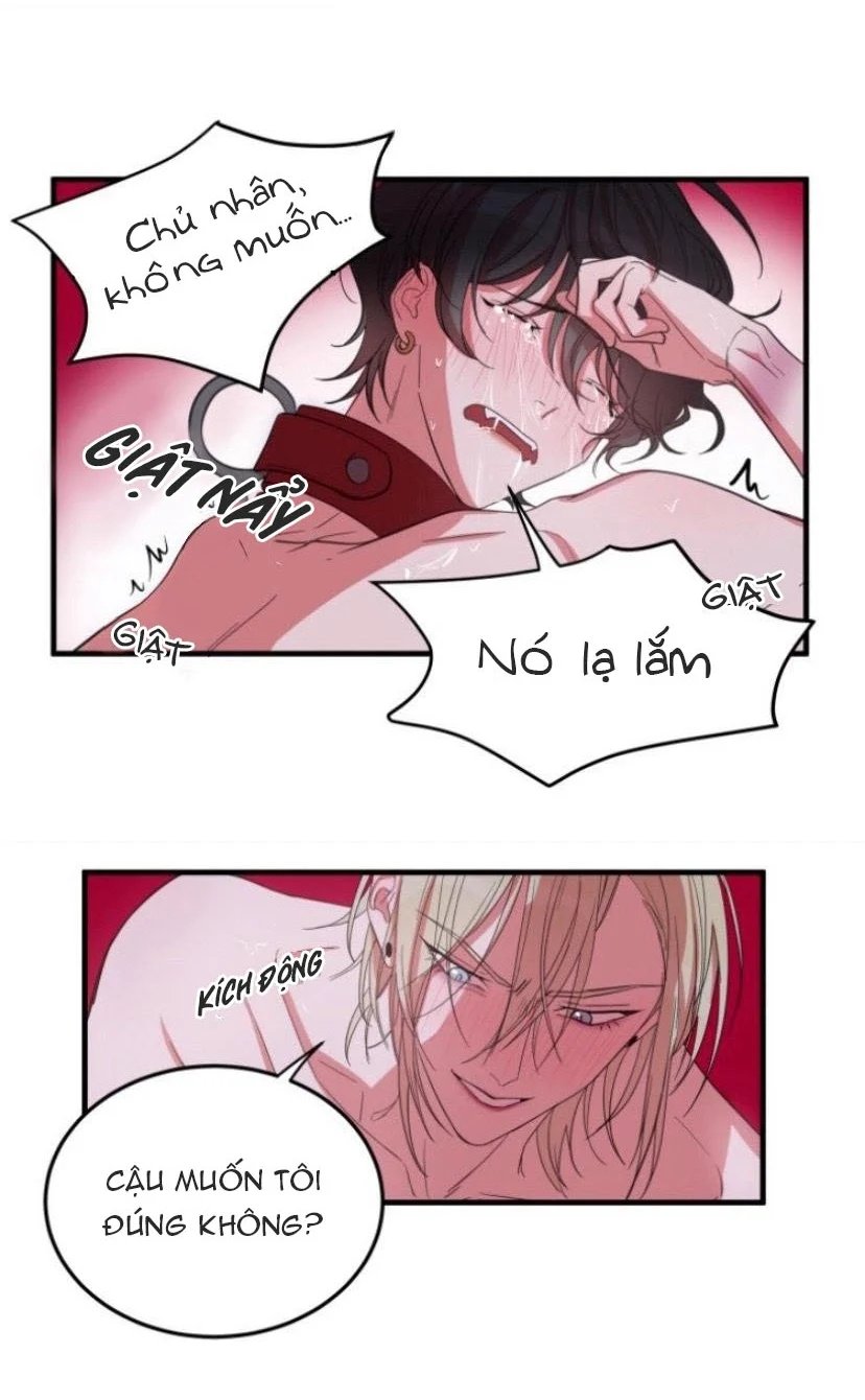 người tình dâm đãng của tôi chapter 5 31