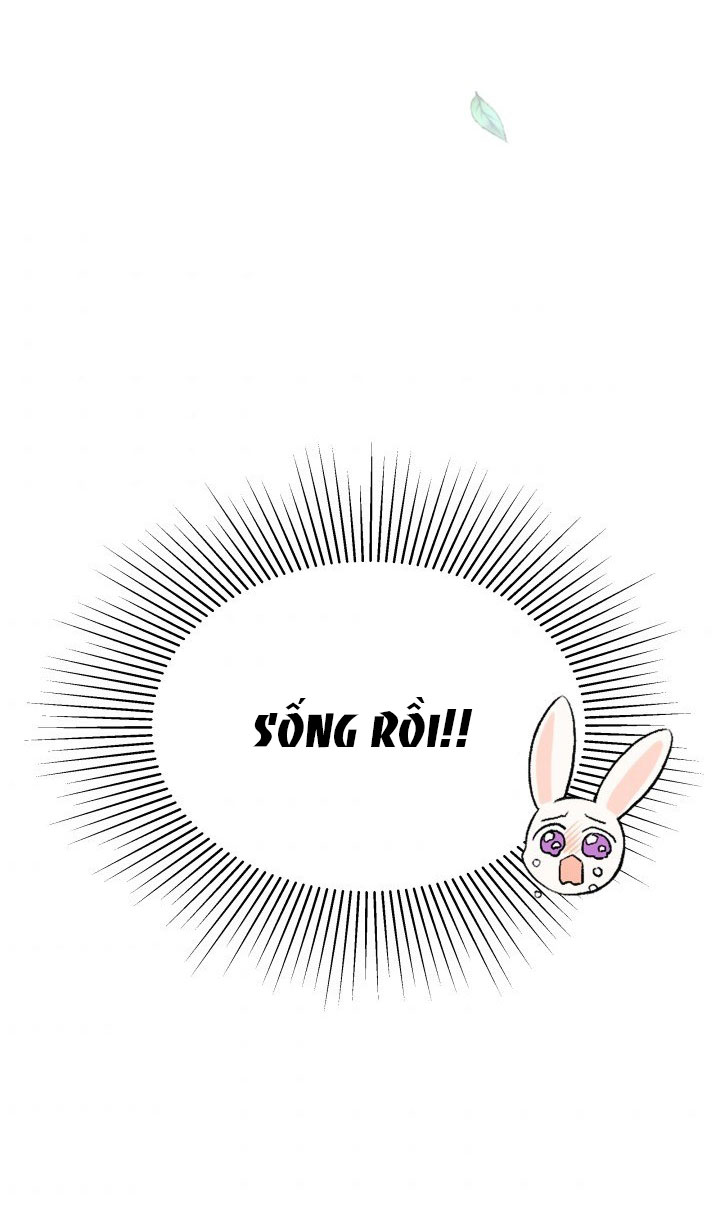 mối liên kết giữa báo đen và bé thỏ chapter 48 62